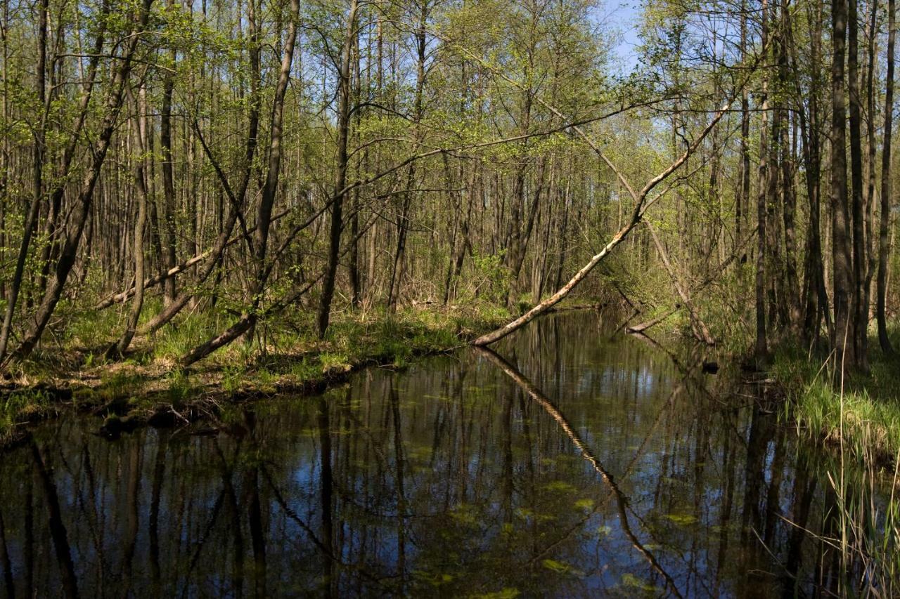 Rezydencje Willa Port Apartamenty Antinori Ostróda Buitenkant foto