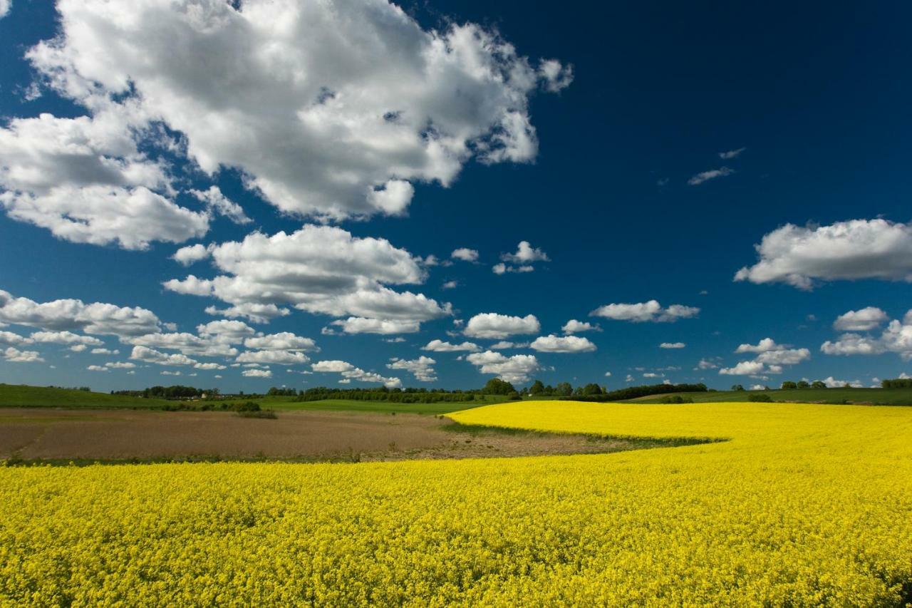 Rezydencje Willa Port Apartamenty Antinori Ostróda Buitenkant foto